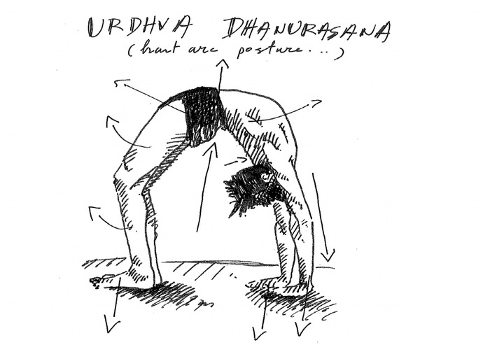 Urdvha dhanurasana